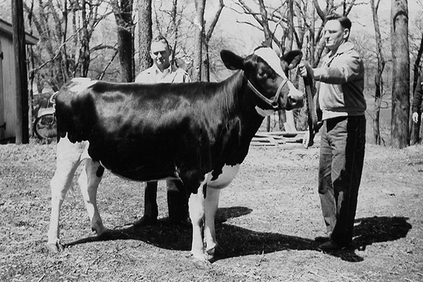 4-H Dairy